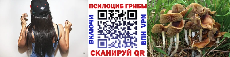 даркнет официальный сайт  Кущёвская  Псилоцибиновые грибы прущие грибы 